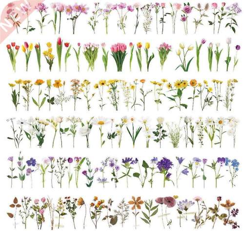 Flower sticker waterproof transparent PET ledger