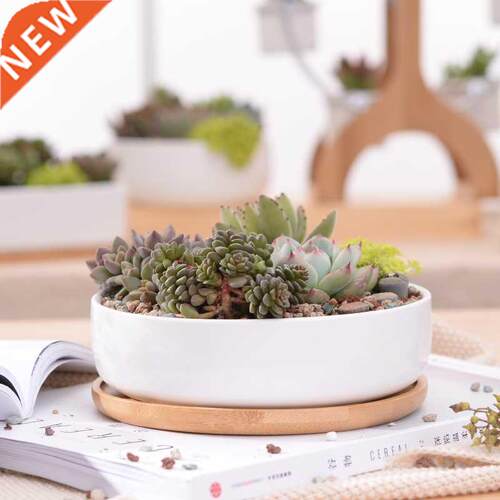 1 Set Minimalist Ceramic Succulent Plant Pot White