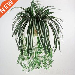 65cmArtificial Plants Wall Hanging Chlorophytum Green