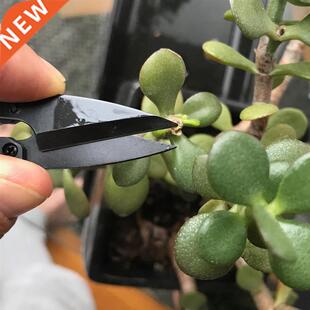 Garden Snps Shears Gardenng Secateurs For Succulent Bonsa