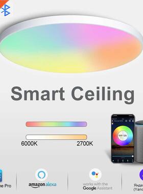 Smart Ceiling lamp RGB Ceiling Light Wifi APP Voice Control