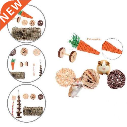 Hot Mixed 8Pcs/Set Eco-friendly Hamster Funny Teeth Care