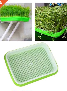 Seed Sprouter Tray Double Layer Soilless Bean Culture Hydrop