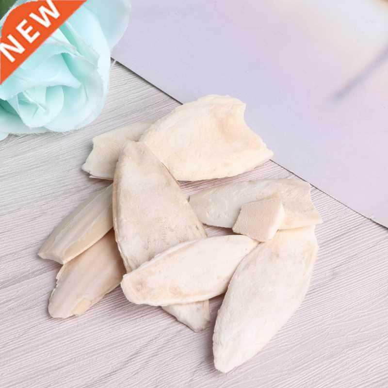 1 bag cuttlebone cuttlefish sepia bone cuttle fish bird