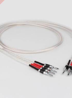 Preffar One Pair HIFI Silver-plated Speaker Cable High-end 5