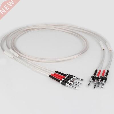 Preffar One Pair HIFI Silver-plated Speaker Cable High-end 5