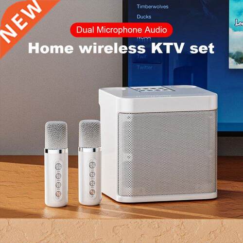 100W Ys-203 Portable Professional Karaoke Dual Microphone Bl