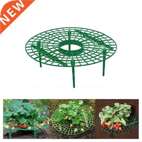 Strawberry Growing Support Practical Strawberry Rack Plant