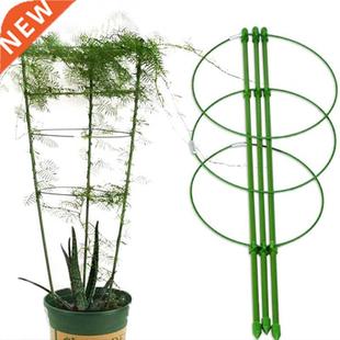 Frame Stand Climbing Plant Potted Gardening 3Pcs Flower