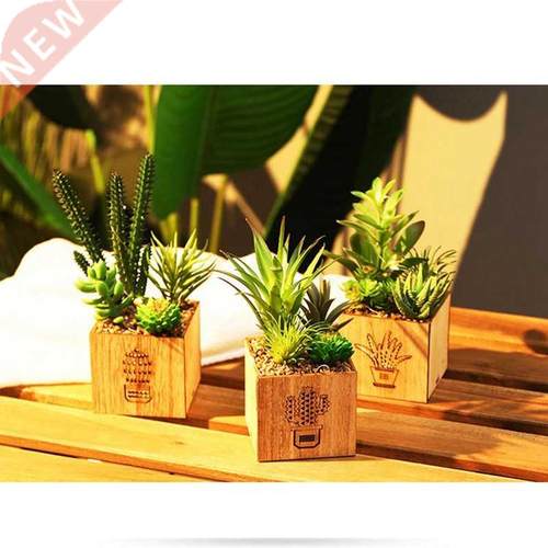 Set Of 3 Artificial Succulents With LED Lights In Wooden Box