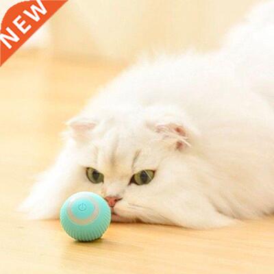 Pet Chew Toy Cute Dog Toy Friut Molar Bite Resistant
