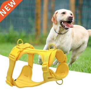 Pet Traction Leash Micro Elastic Space Cotton Anti-bite Dog