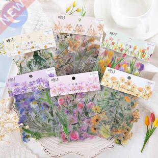 YueGuangXia Natural Sceneries Series Die Cutting Stickers S
