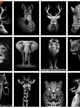 Evershine Black White Diamond Painting Full Square Drill Cro