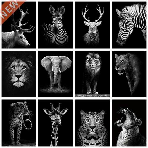 Evershine Black White Diamond Painting Full Square Drill Cro