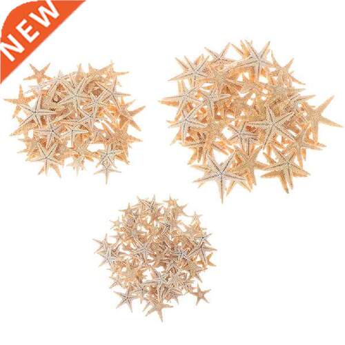100pcs DIY Sea Shells Size:0.5-3cm Mini Starfish Craft