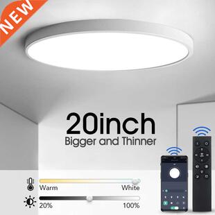 Ultra-thin Led Ceiling Light Modern 20inch Large Ceiling Lam