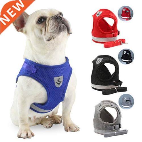 Cat Dog Adjustable Harness Vest Walking Lead Leash For