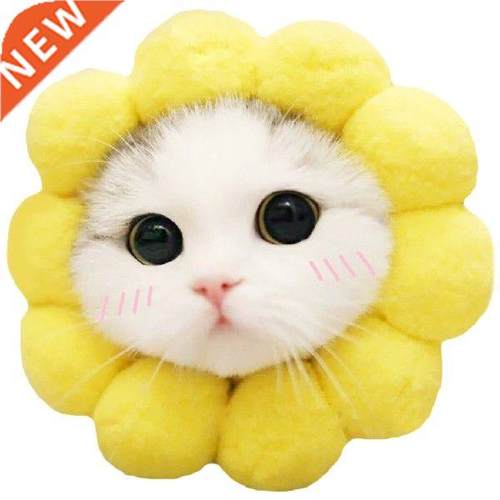 Cute Crtoon Sunflower Dogs Ct Hts Pet Decortion