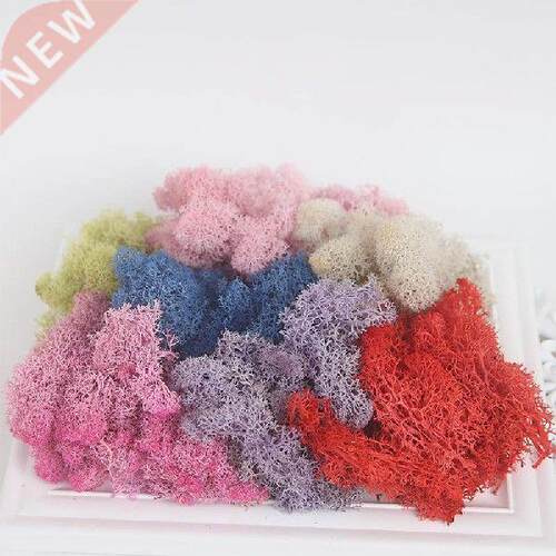10g/pack Artificial plant Eternal Life Moss Home Garden