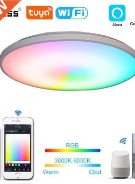 36W WiFi Modern Smart LED Light Ceiling Lamp RGB+C+W