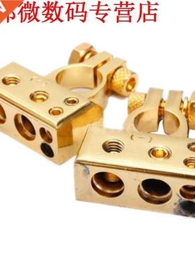 2 x ZWARE Gouden Vergulde Batterij Terminals (Positieve/Naga