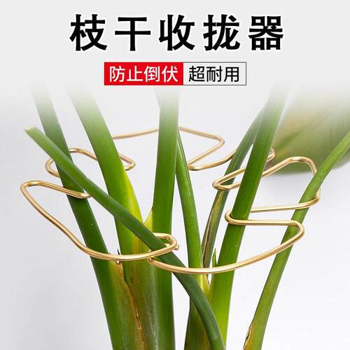 龟背竹形防倒伏枝干收拢器铁支架