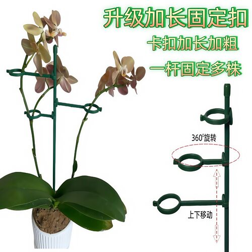 植物支撑杆防倒固定卡扣爬藤多肉