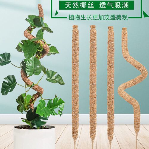 创意龟背竹支撑杆绿萝柱固定支架