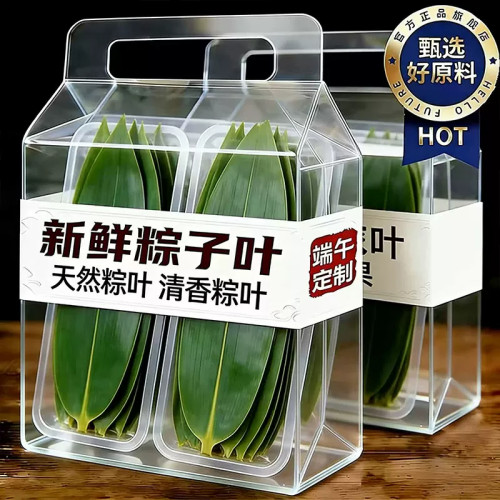 大号新鲜粽子叶端午节包粽子专用