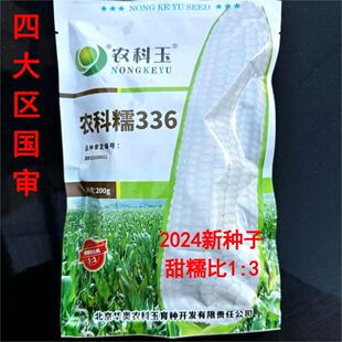 农科糯336甜糯玉米种子鲜食白甜糯粘玉米种子北京农科玉原装正品