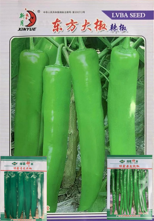 蔬菜种子辣椒种子黄皮椒线椒尖椒黄瓜南瓜籽种 精装高端100粒春季