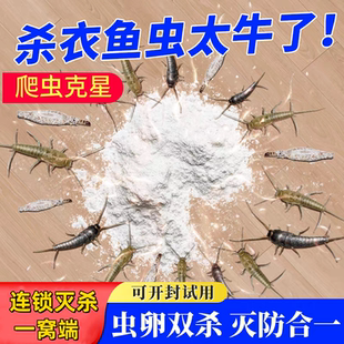 衣鱼虫杀虫专用药家用室内非无毒杀虫剂灭衣娥虫强力除衣鱼杀虫药