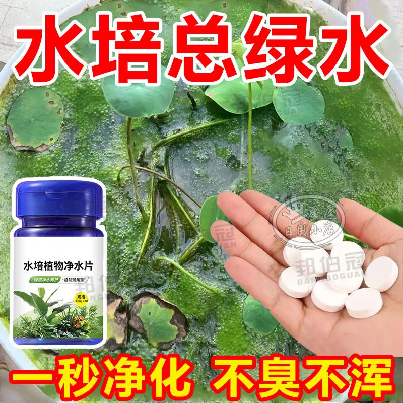水培植物净水片鲜花保鲜消毒片净水保鲜剂碗莲水培通用净水剂