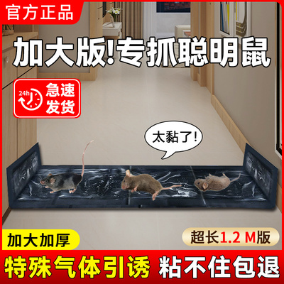 老鼠贴强力粘鼠板三角板胶粘大老鼠沾抓灭鼠家用捕鼠神器2025新款