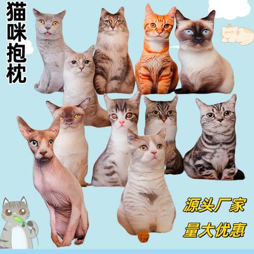 梦童创意3d真猫猫抱枕猫咪毛绒玩具公仔玩偶午休沙发靠垫代发