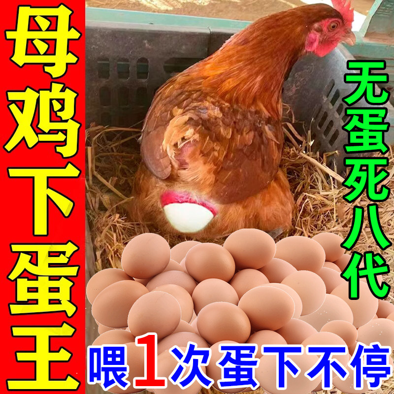 蛋多多鸡下蛋专用增蛋宝鸡鸭鹅产蛋饲料催蛋素鸡不下蛋吃什么药