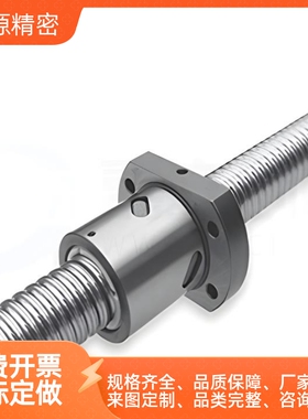 BSWE0802/1002 BTWE1204 1510 1516 1520 1605 1610 滚珠丝杆