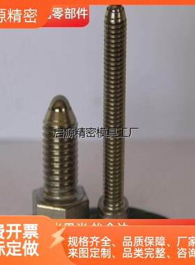 六角螺栓型 球头柱塞 BPRH/BPRL4/5/6/8/10/12-10/15/20/25/30/35