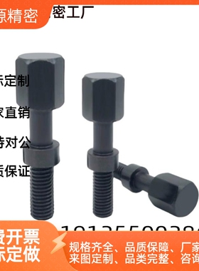 AJSTC4/5-10/15/20/25/30/35/40/45/50/55/60粗牙 调整螺栓 PAY21