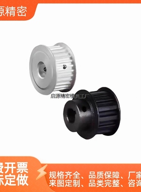 同步轮HTPT18S8M250/HTPT22S8M300-A-N20