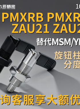 L型旋钮柱塞PMXRB PMXRM 10 12 粗牙把手型 ZAU21 ZAU22-M10 M12