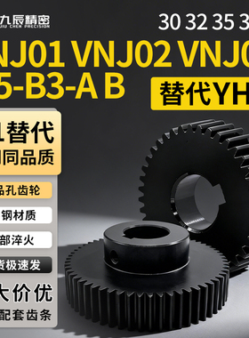 直齿轮 VNJ01 VNJ02 VNJ03-0.5-30 32 35 36-B3-A B-P3 P4 P5 P6