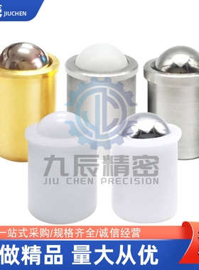 球头柱塞PFSSN2 PFSSN3 PFSSN4 PFSSN5 PFSSN6 PFSSN8 PFSSN10