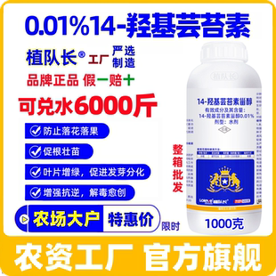 植队长0.01%14羟基芸苔素甾醇正品整箱批发水稻增产生长调节剂
