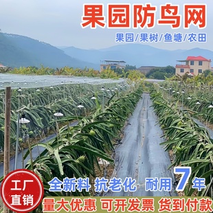 防鸟网果园果树大棚尼龙线防鸟用网菜园樱桃树嘉宝果葡萄鱼塘天网