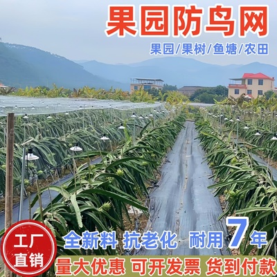 果园果树防鸟网鱼塘天网厂家直销