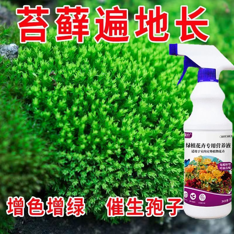 苔藓专用营养液治枯黄催孢子增色