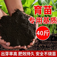 [40 фунтов для саженцев для саженцев] (смешано с бактериальным духом и корневым порошком)