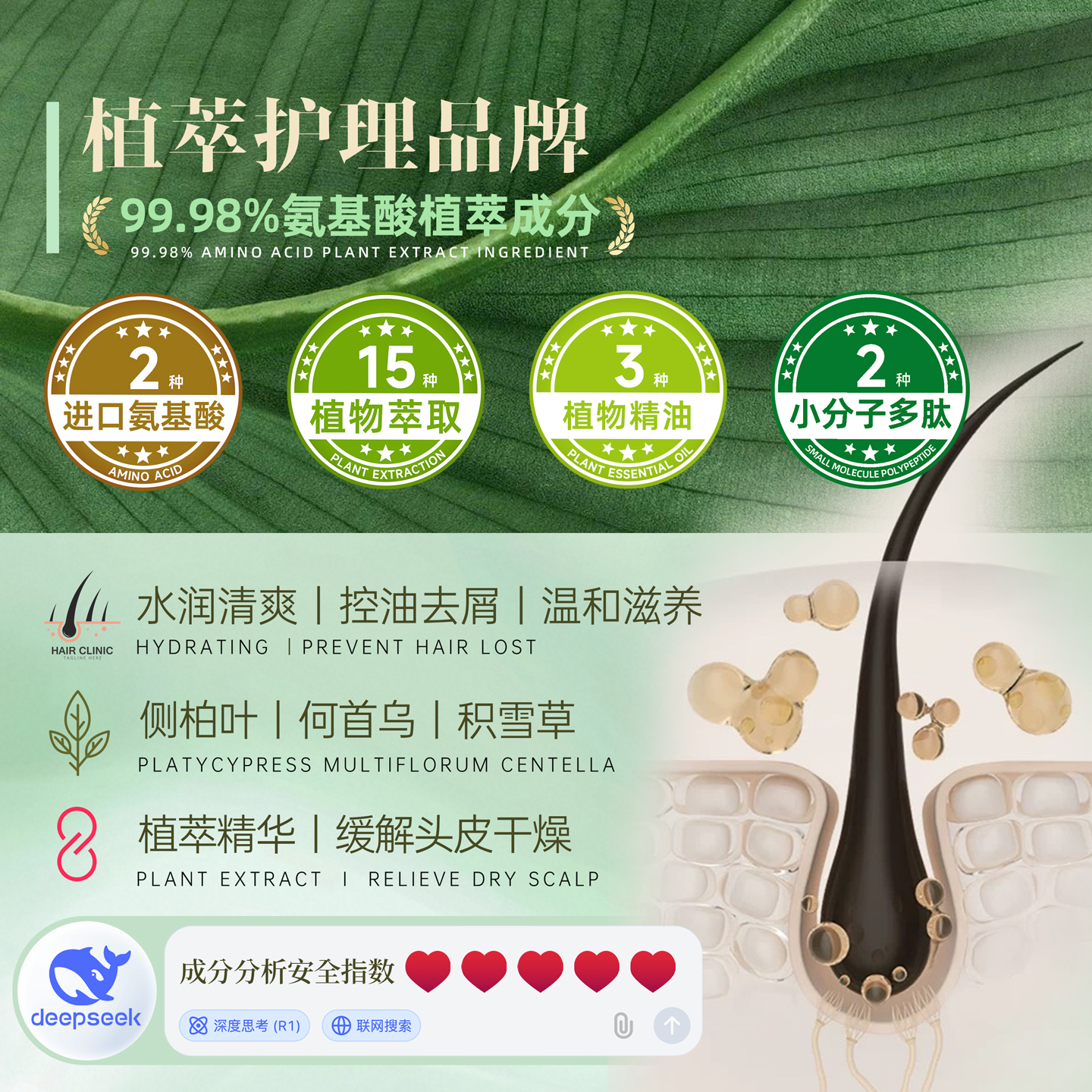 侧柏叶积雪草植物氨基酸控油滋养